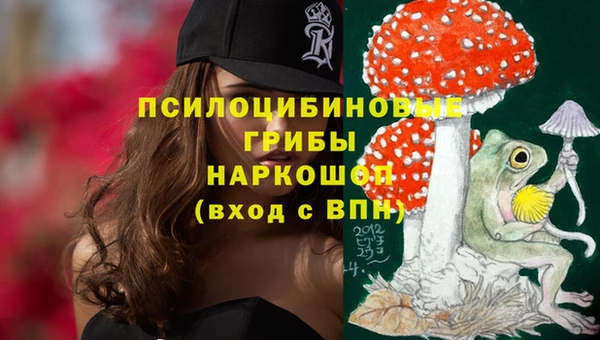 прущий лед Кукмор