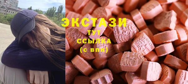 мдпв Богородицк
